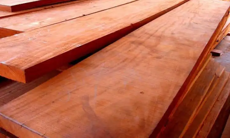 Kayu mahoni, Sumber: sendokkayu.com